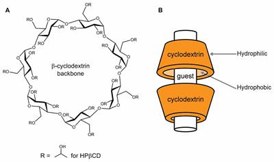 Cyclodextrins and Iatrogenic Hearing Loss: New Drugs with Significant Risk